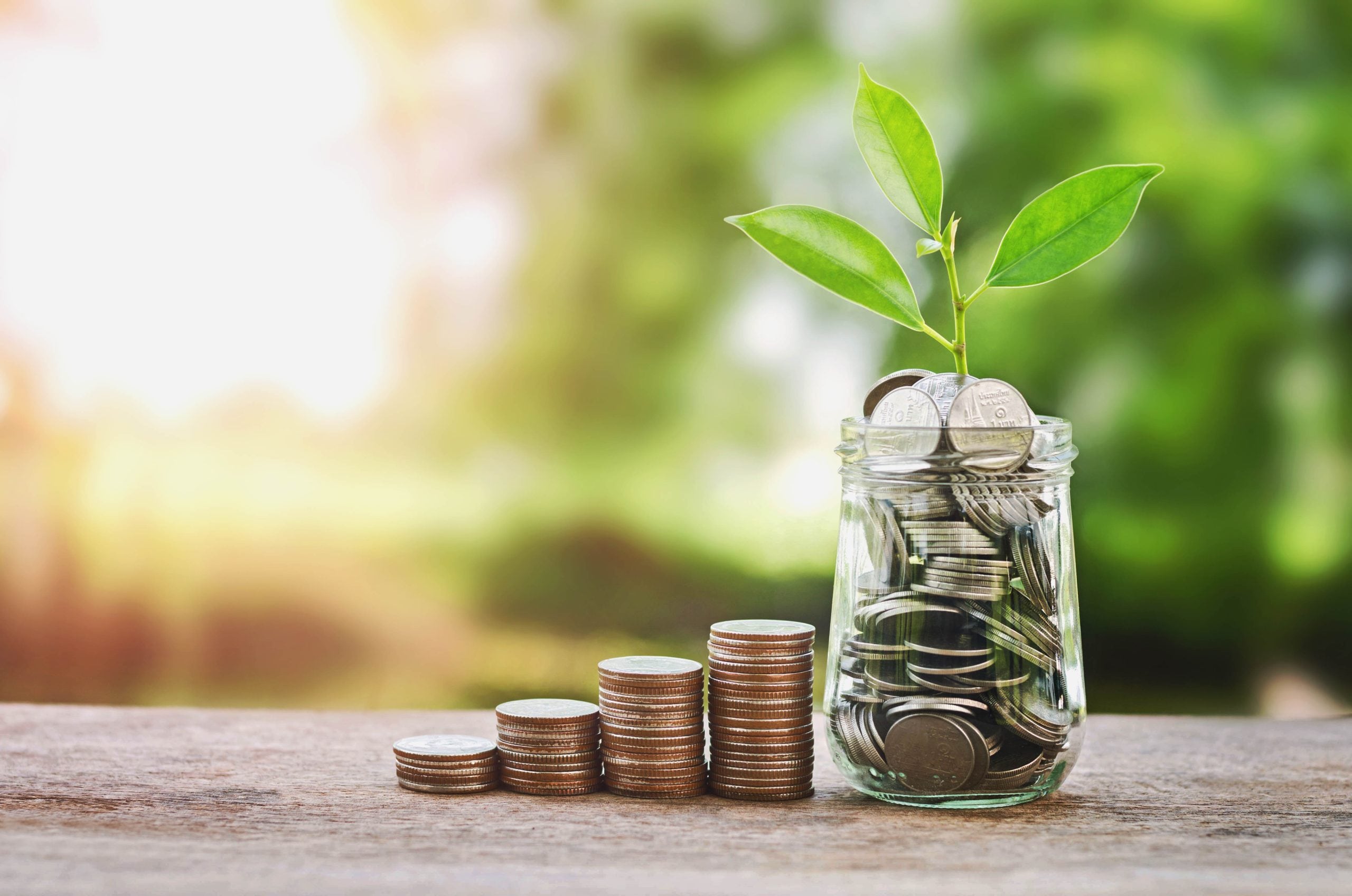 The image depicts a small plant growing in a glass jar filled with coins, with a concept of money saving.